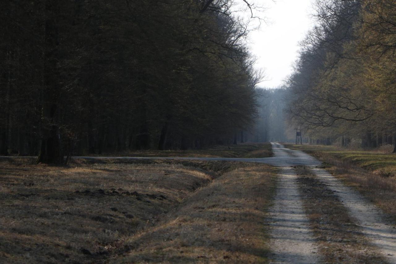 Sobe Pilajevo 2, 183 Ulica Stjepana Radica, Privatunterkunft *
