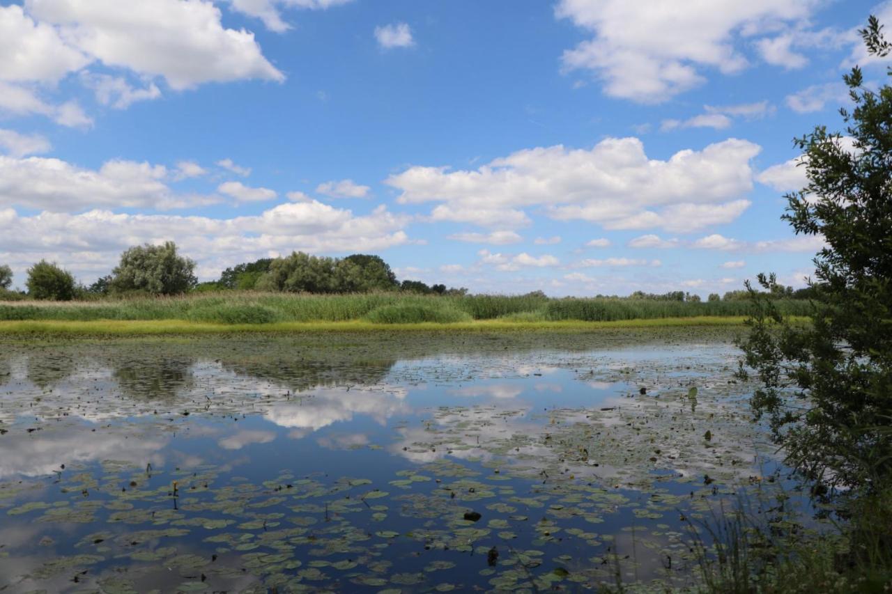 Sobe Pilajevo 2, 183 Ulica Stjepana Radica, Gola