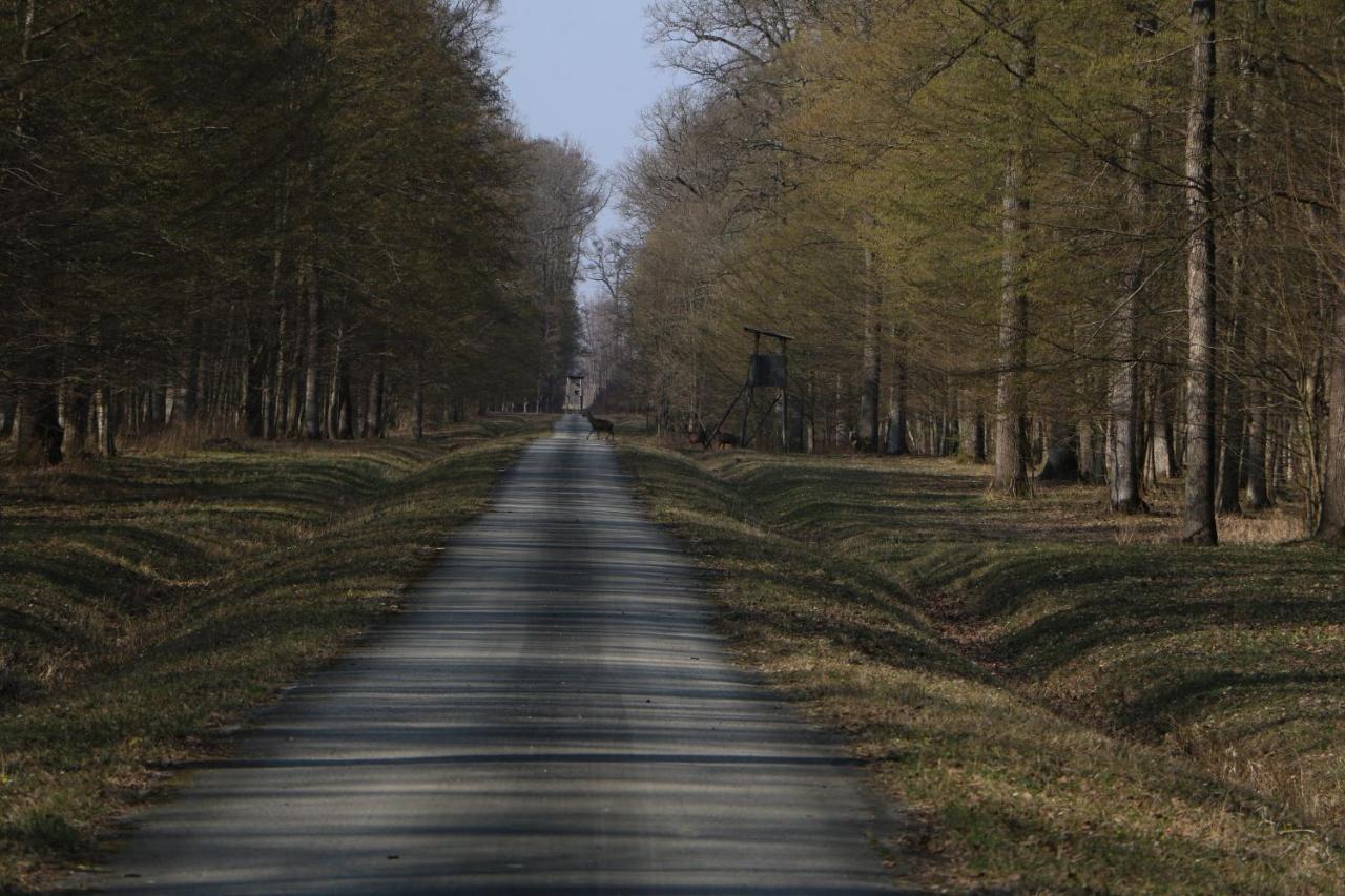 Sobe Pilajevo 2, 183 Ulica Stjepana Radica, Privatunterkunft *